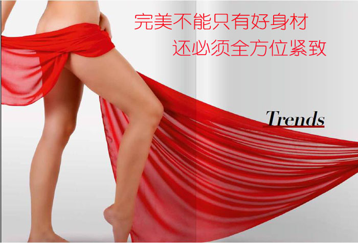 歐洲之星相關(guān)知識介紹